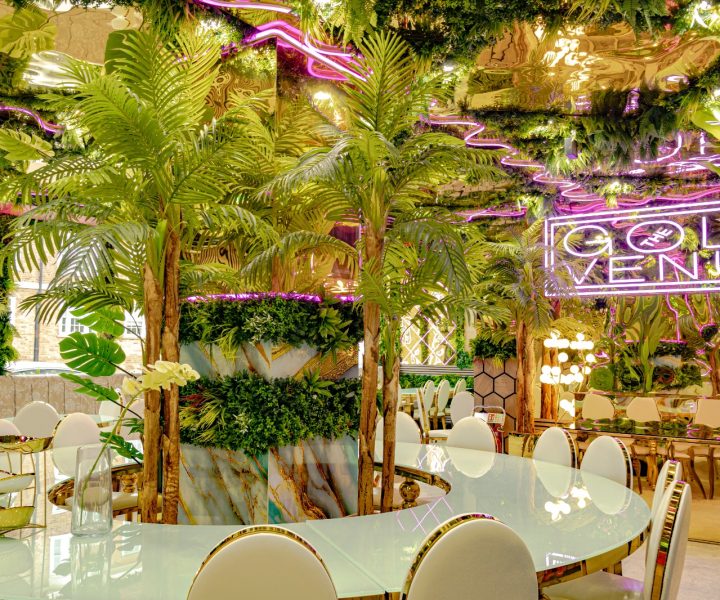 WhatsApp Image 2026-03-07 at 11.29.26 PM